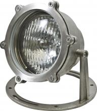 Dabmar LV308-LED9-SS-316 - SS316 GRADE W/21' CORD UNDERWATER 9W LED PAR36 12V