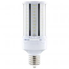 Light Bulbs